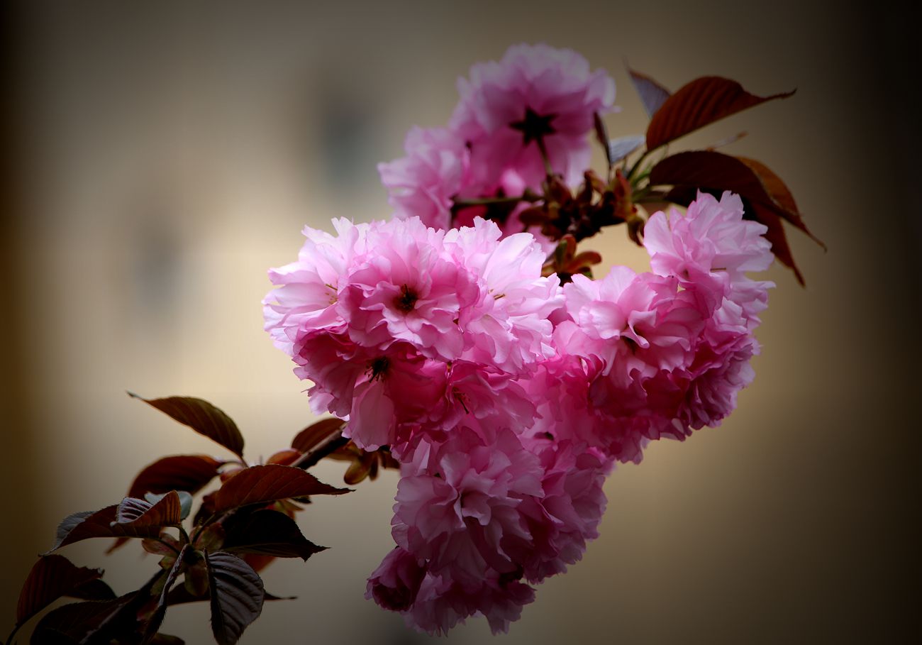 IMG_5720_副本.jpg