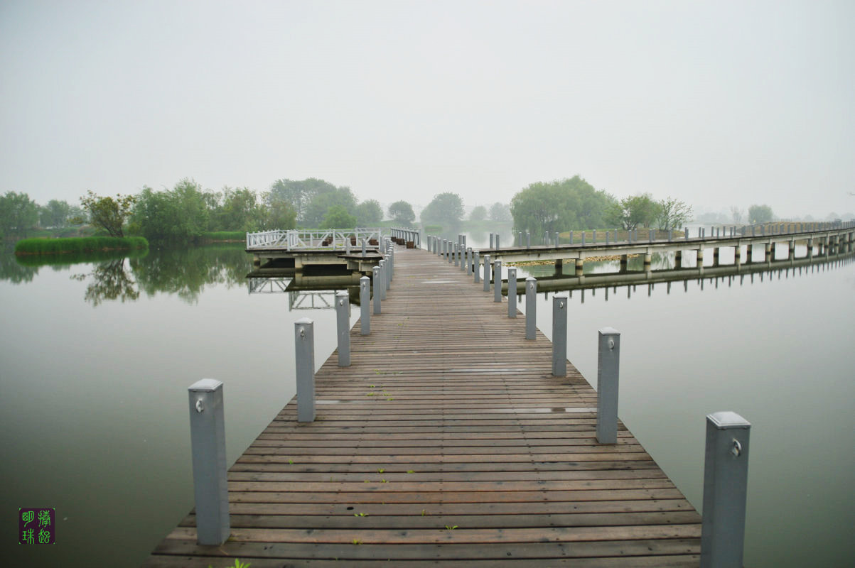 DSC_5975.JPG