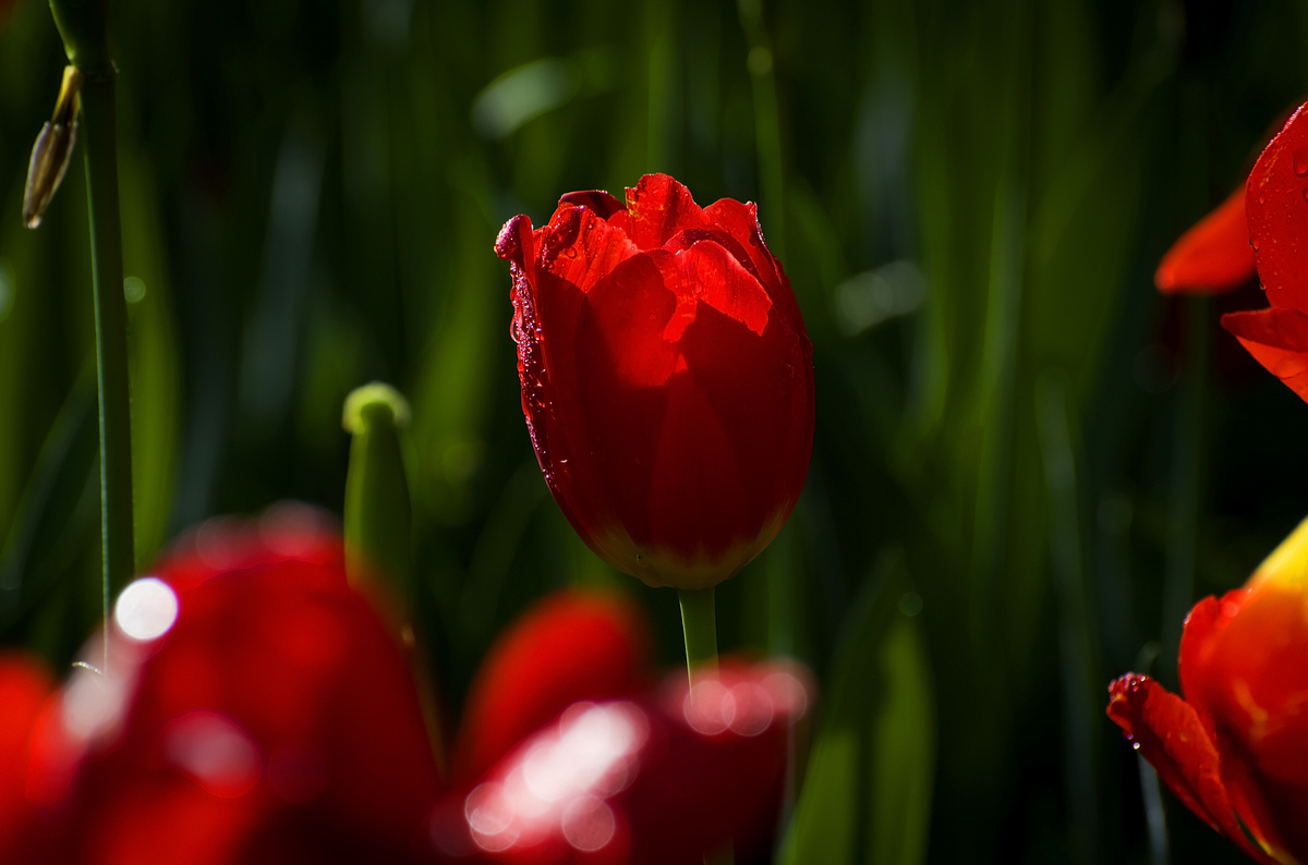 nEO_IMG_DSC_5510.jpg