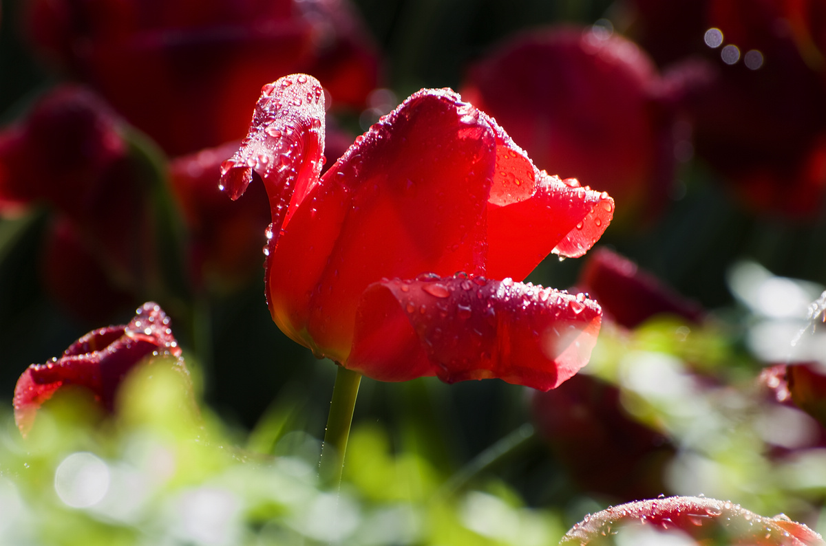 nEO_IMG_DSC_5521.jpg