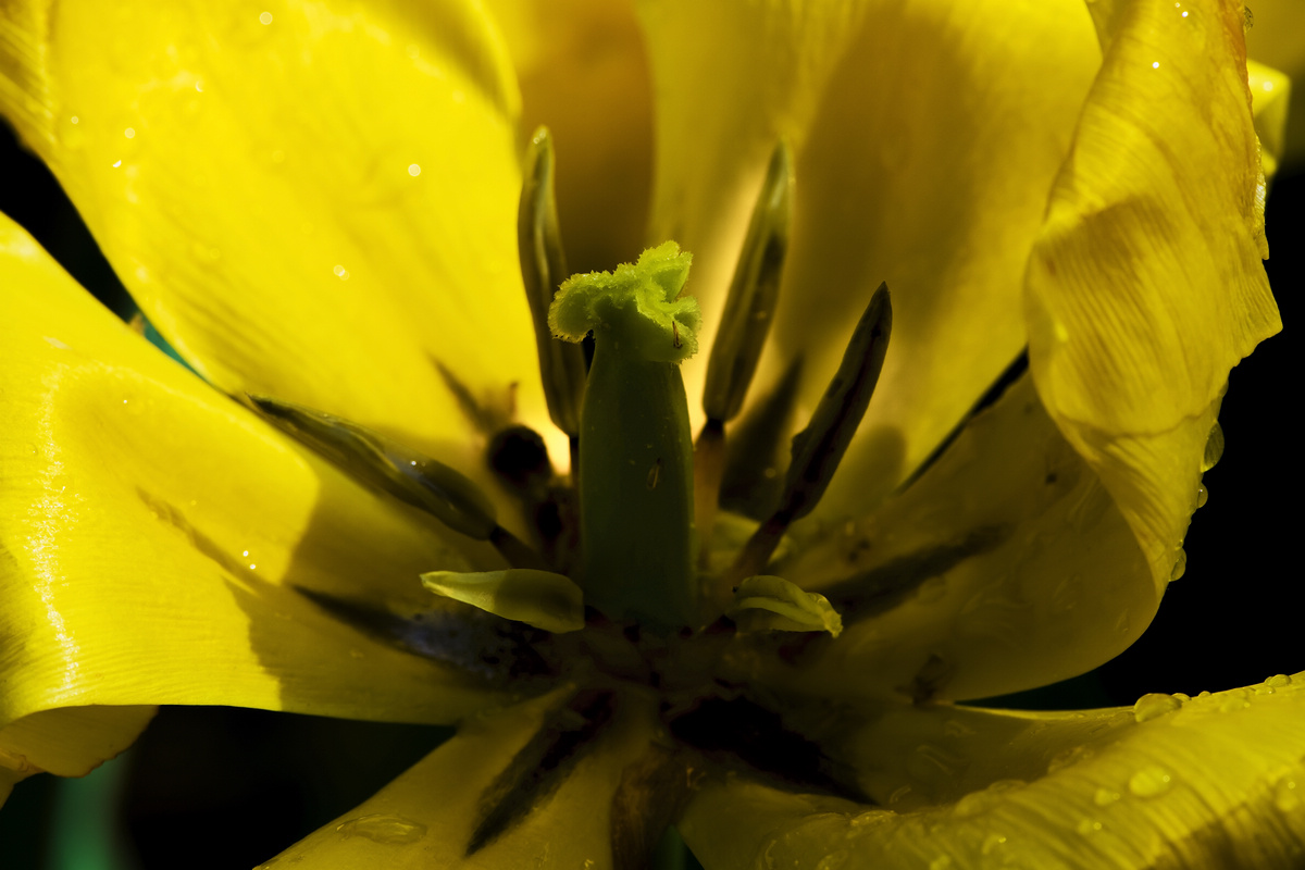nEO_IMG_DSC_4958.jpg
