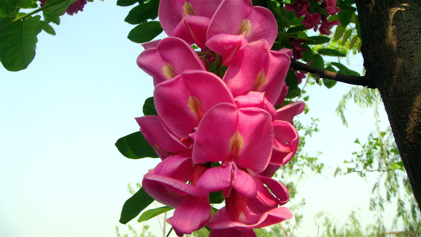 DSC00710_meitu_35.jpg