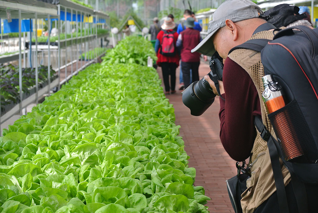 DSC_7167副本.jpg