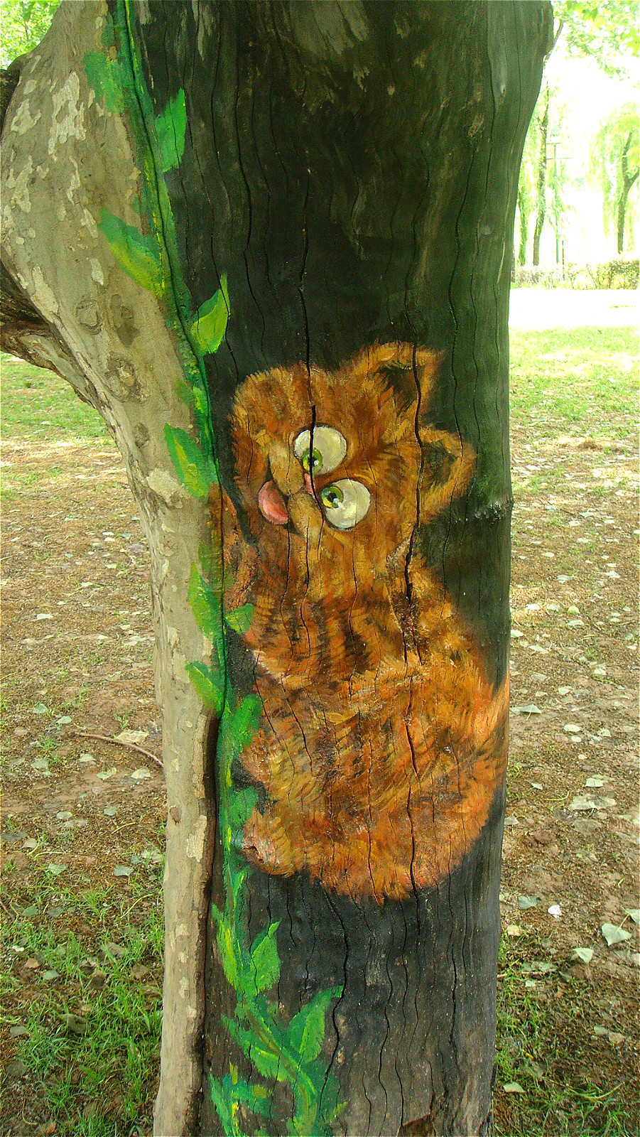 DSC01979_meitu_28.jpg