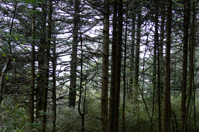 L1260854.jpg