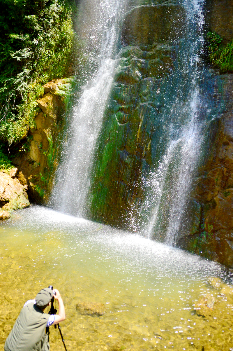 DSC_9631_副本.JPG