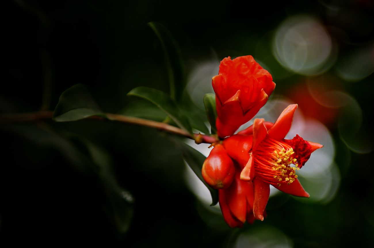 IMG_3396_副本.jpg