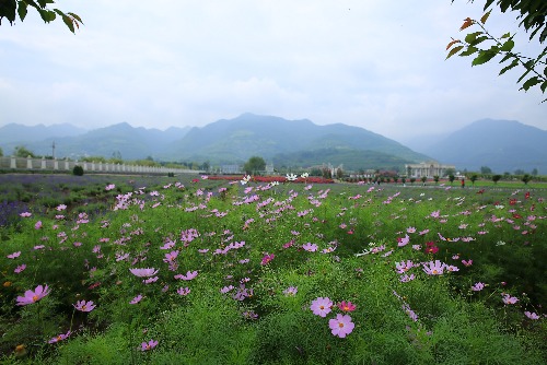 5G1A8581.JPG