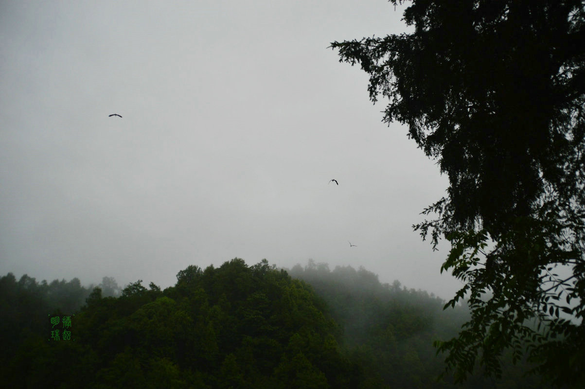 DSC_9793.JPG