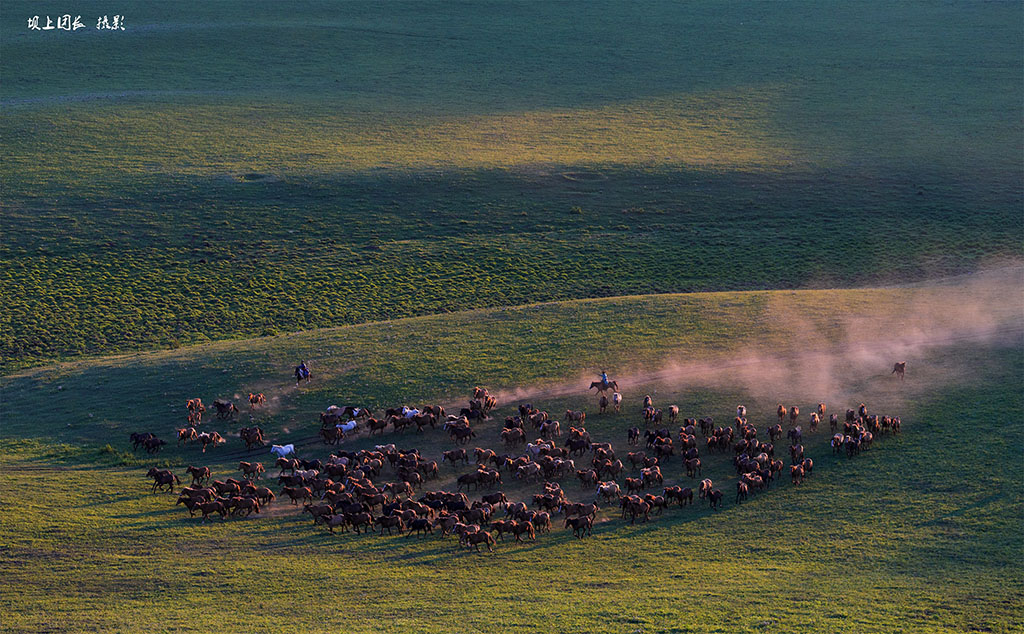 2016年6月坝上草原万马奔腾