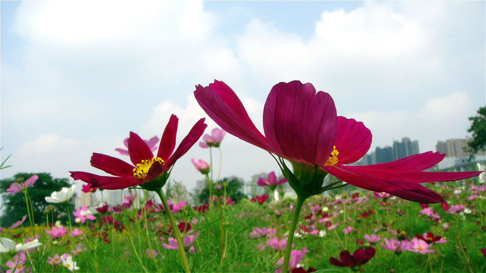DSC03512_meitu_1.jpg