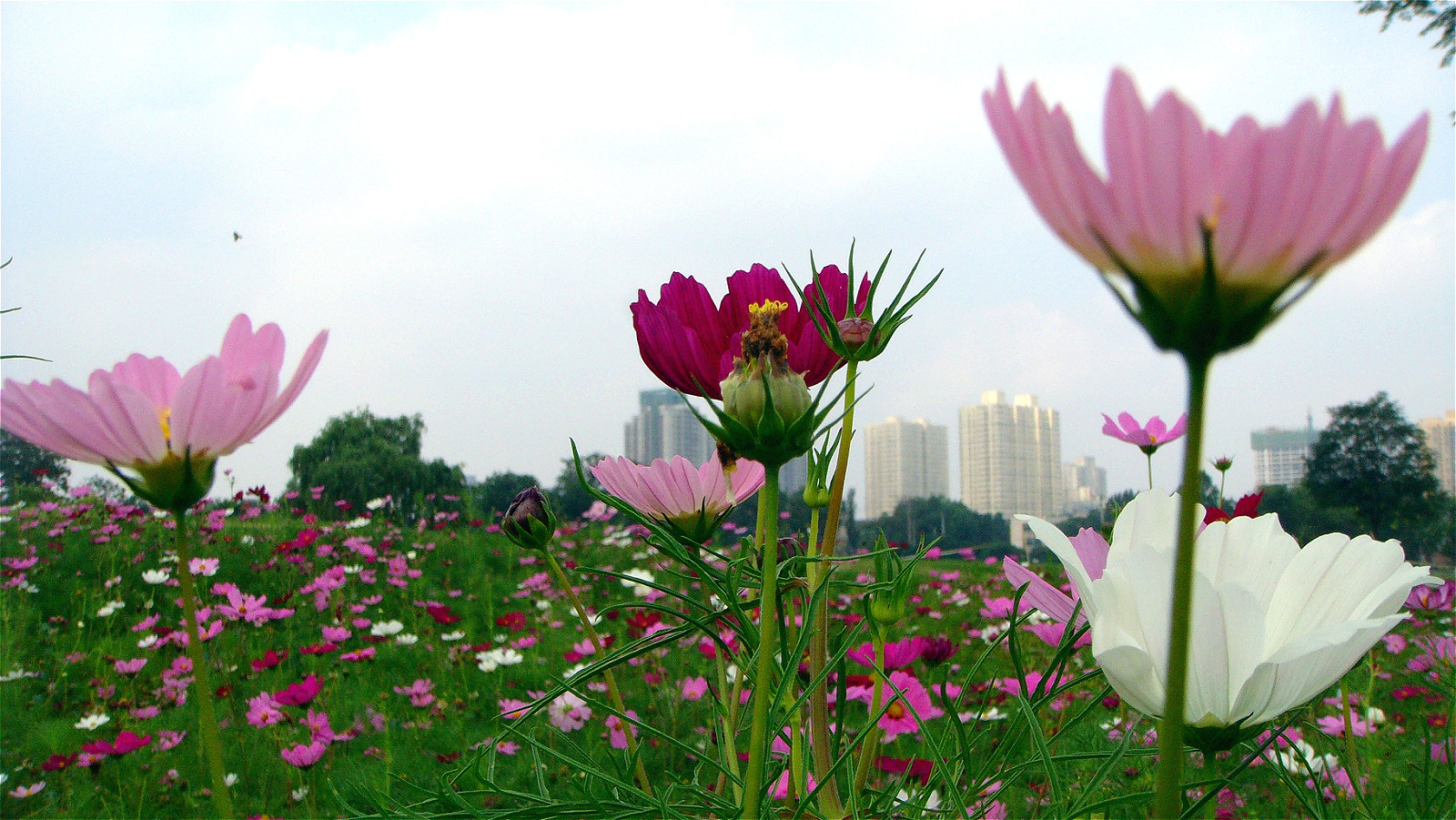 DSC03544_meitu_13.jpg