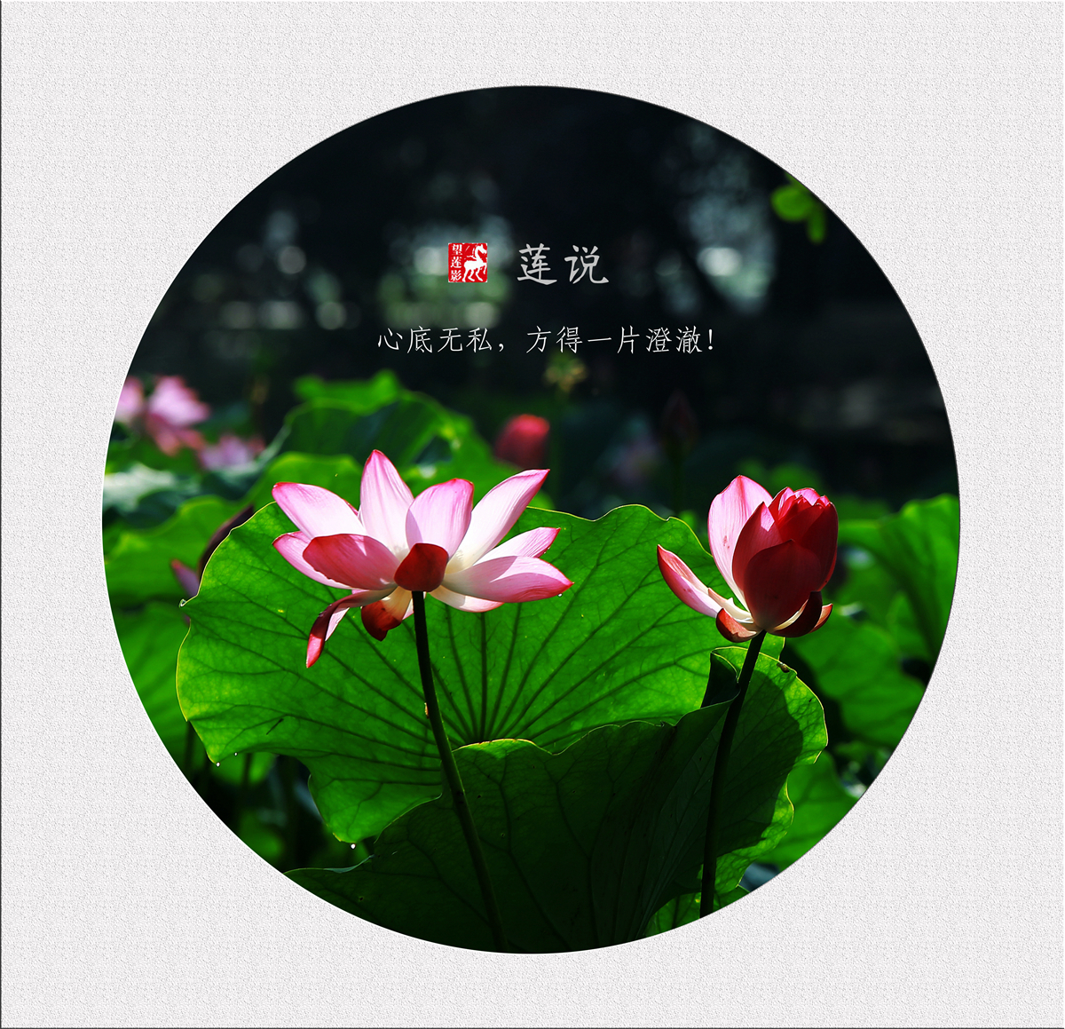 IMG_9190_副本.jpg