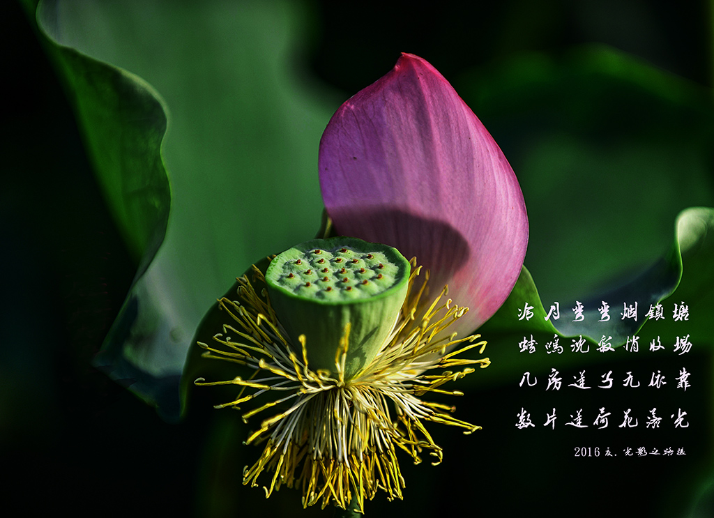 DSC_3344副本003.jpg