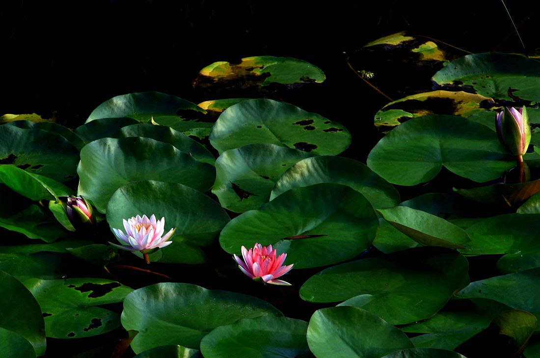 太阳谷 001_副本.jpg