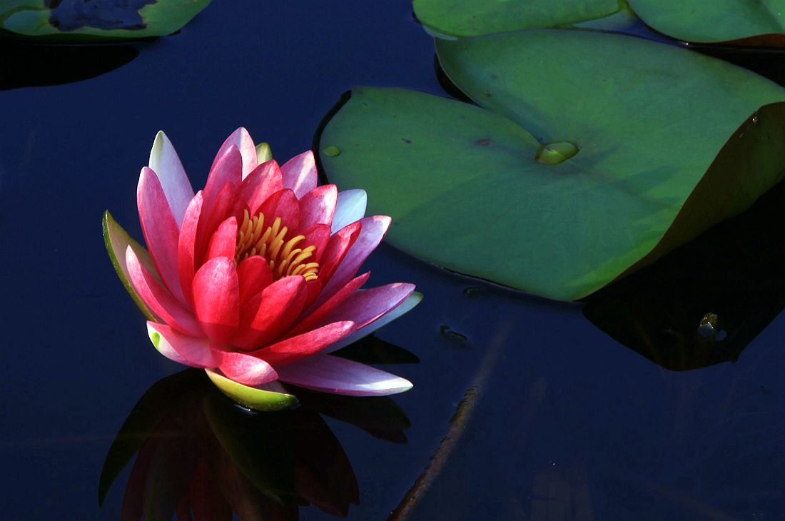 太阳谷 037_副本.jpg