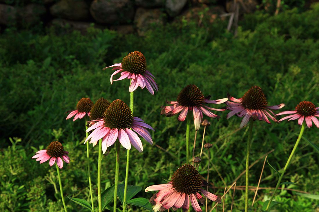 太阳谷 198_副本.jpg