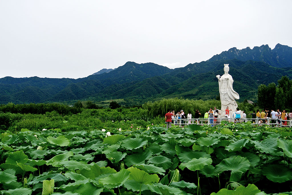 DSC_8203副本.jpg