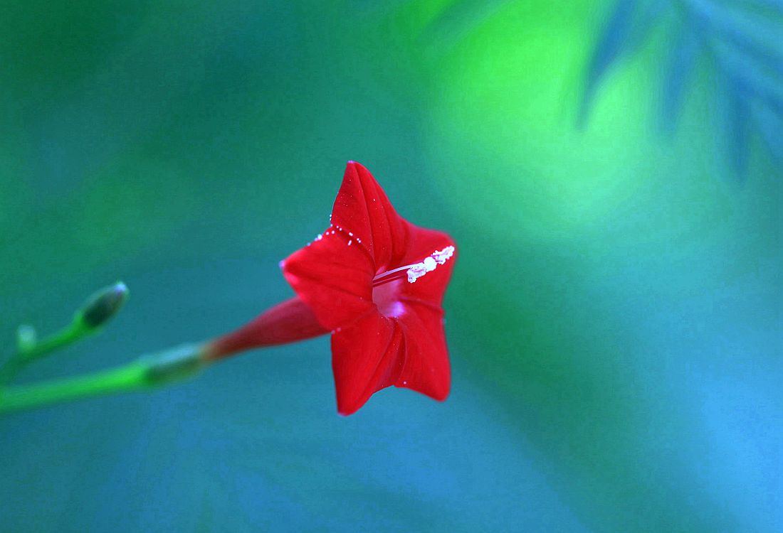 秋葵 147_副本.jpg