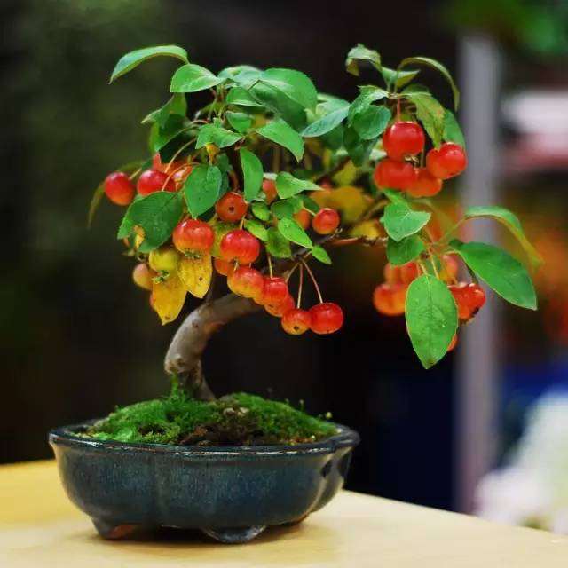 acef968c3e4b5044d82ec5c4536d39ab.jpg