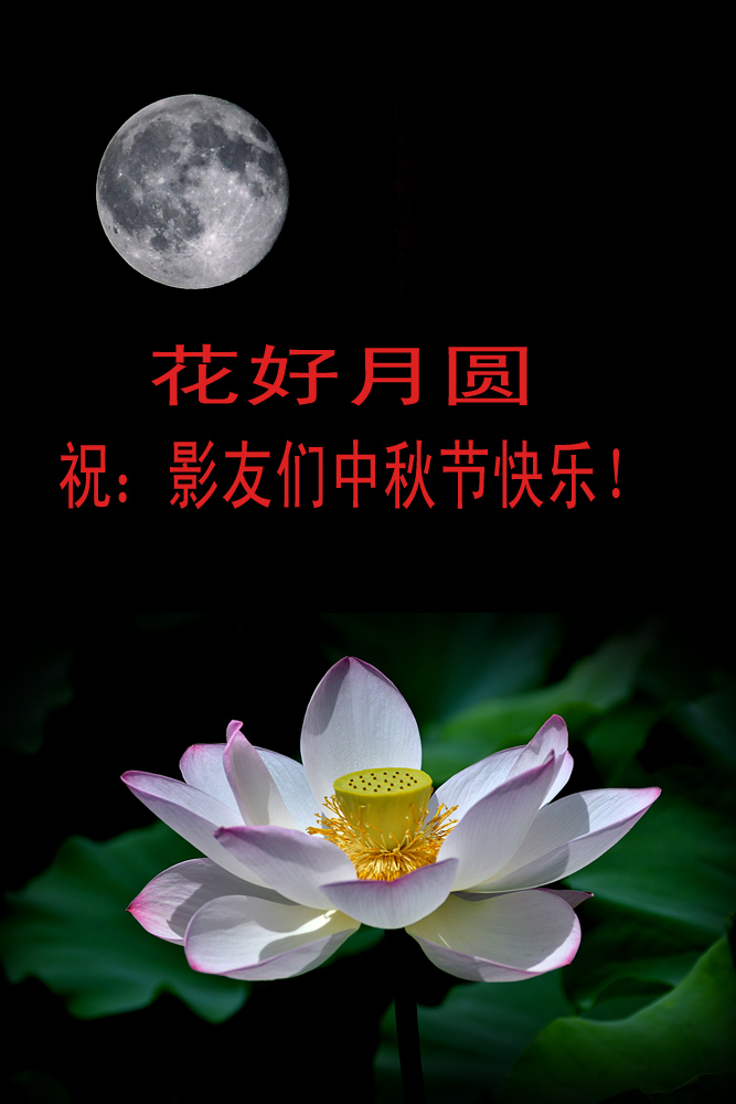 花好 月圆 (7).jpg