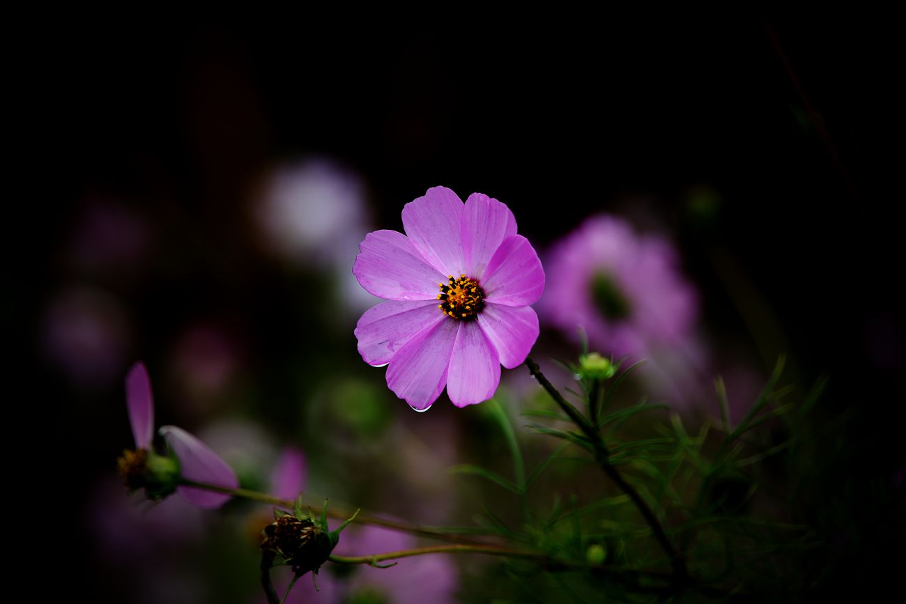 IMG_9438_副本.jpg