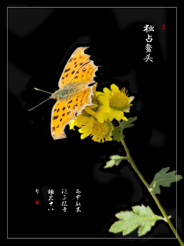 LIU_4619副本.jpg