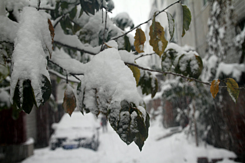 IMG_7989.JPG