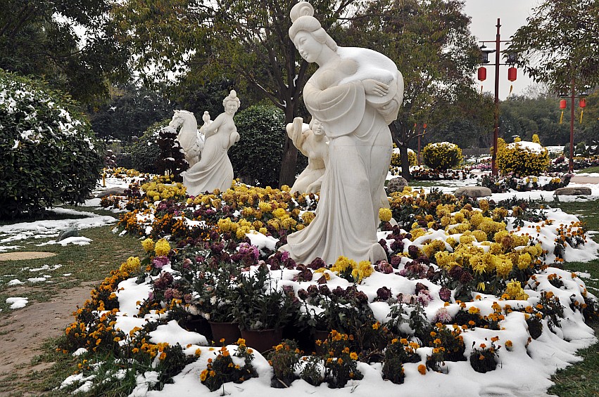 DSC_0139_conew1.jpg