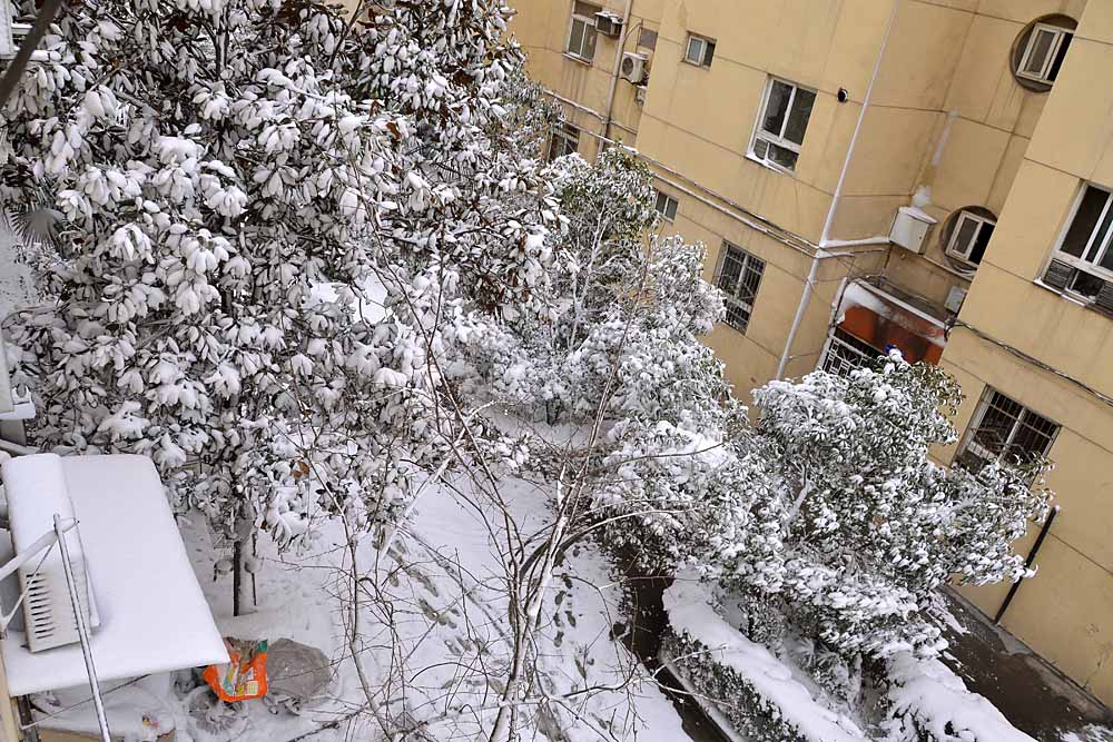 窗外 雪景 (8).jpg