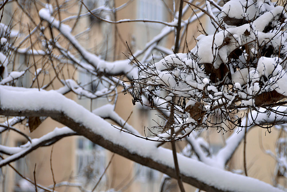 窗外 雪景 (14).jpg