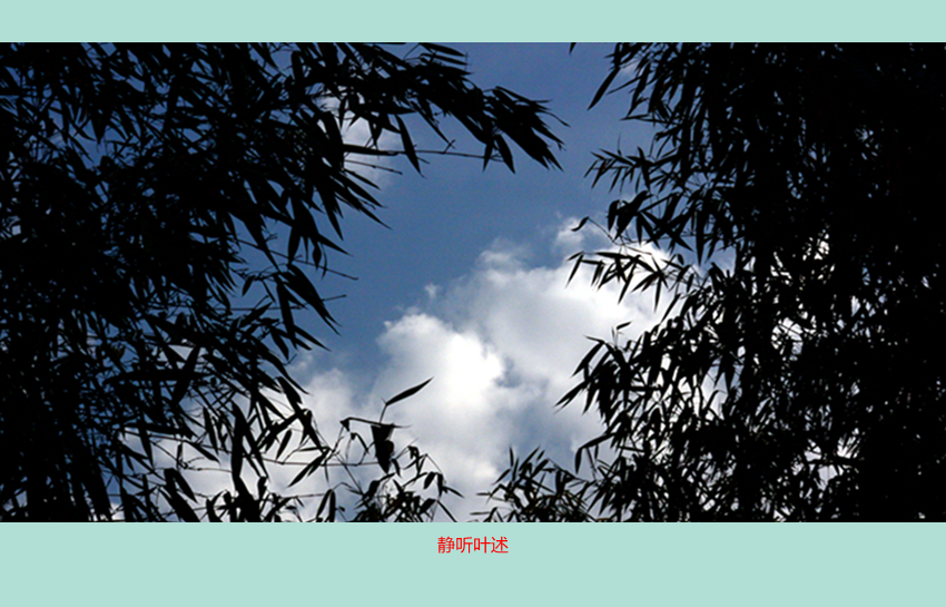 DSC_7673_副本_副本.jpg