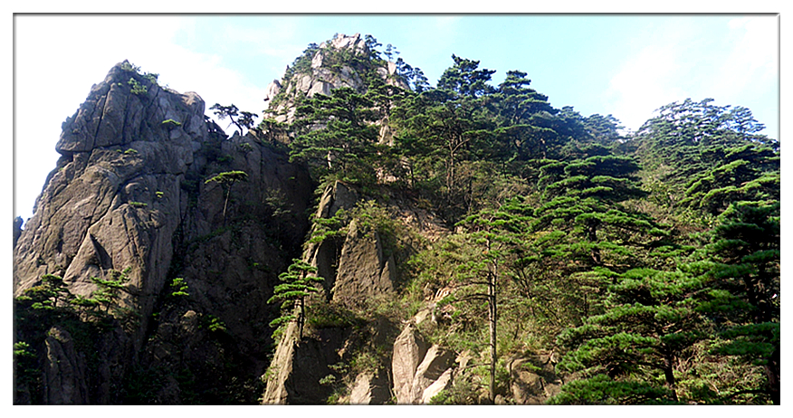 SDC11266_副本.jpg