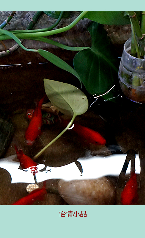 DSC09609_副本.jpg