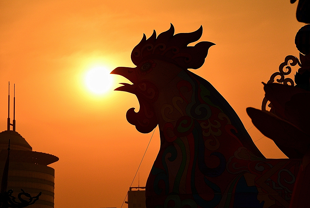 鸡年城墙灯会 (14).jpg