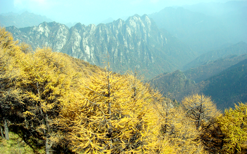 DSC00467_副本.jpg