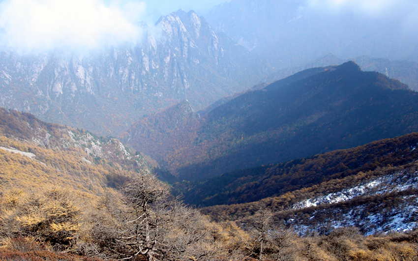 DSC01095_副本.jpg