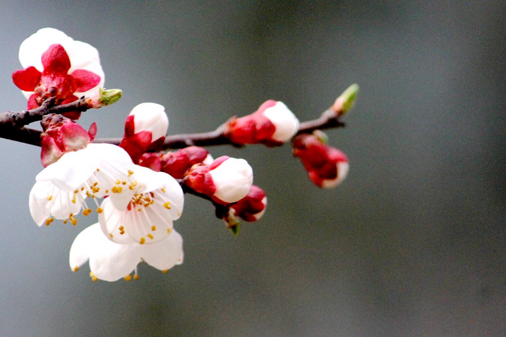 2017.3.7 305_副本.jpg