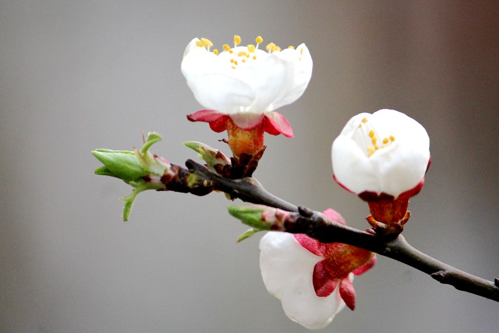 2017.3.7 288_副本.jpg