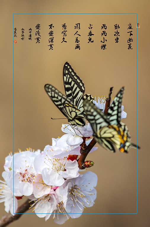 _X9A4807副本副本.jpg
