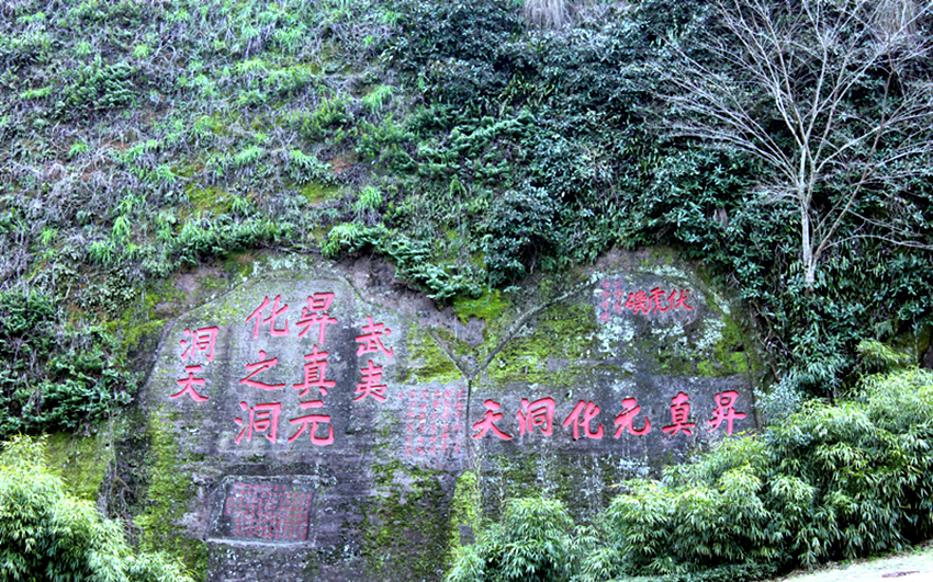 IMG_8392_副本.jpg