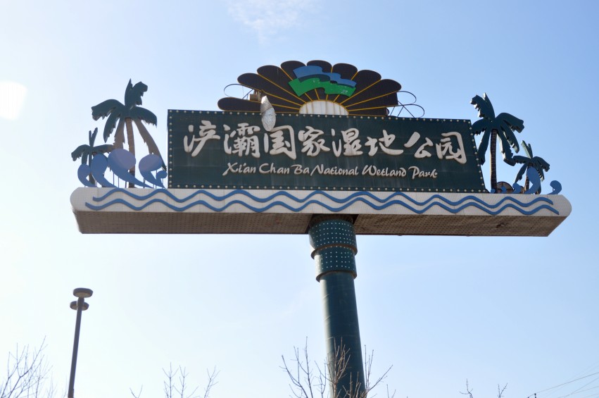 DSC_0018_conew1.jpg
