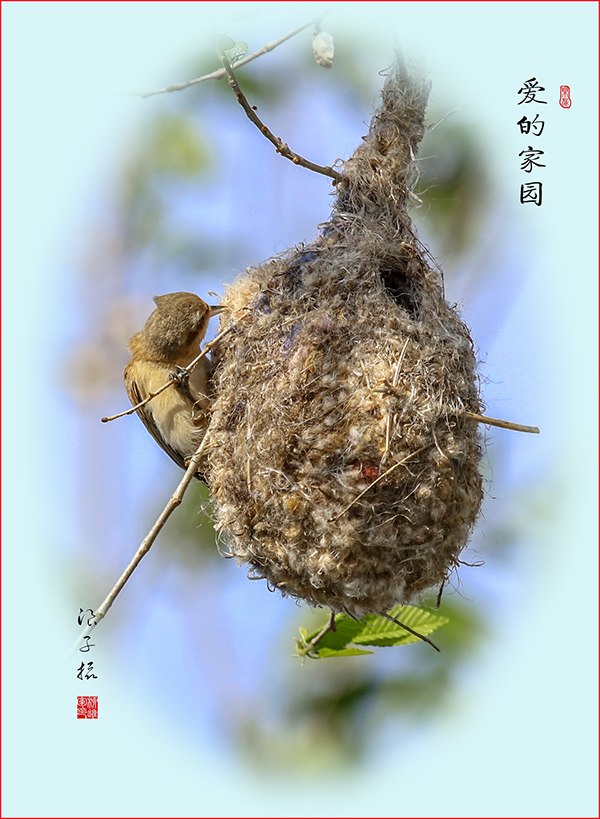 LIU_1566副本副本.jpg