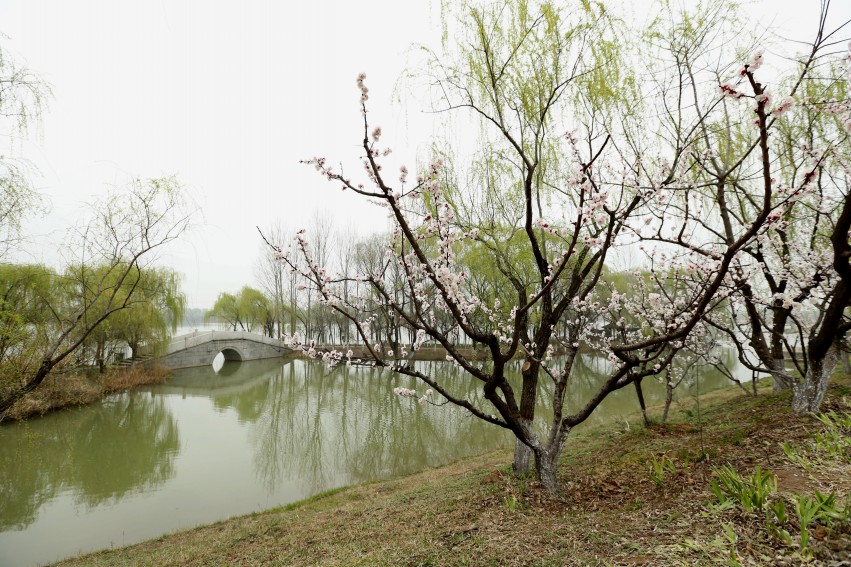 C24T3742_副本_conew2.jpg
