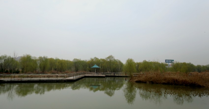 C24T3757_conew1_副本_副本.jpg1.jpg