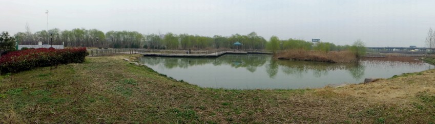 L1290094_conew1_副本.jpg1.jpg