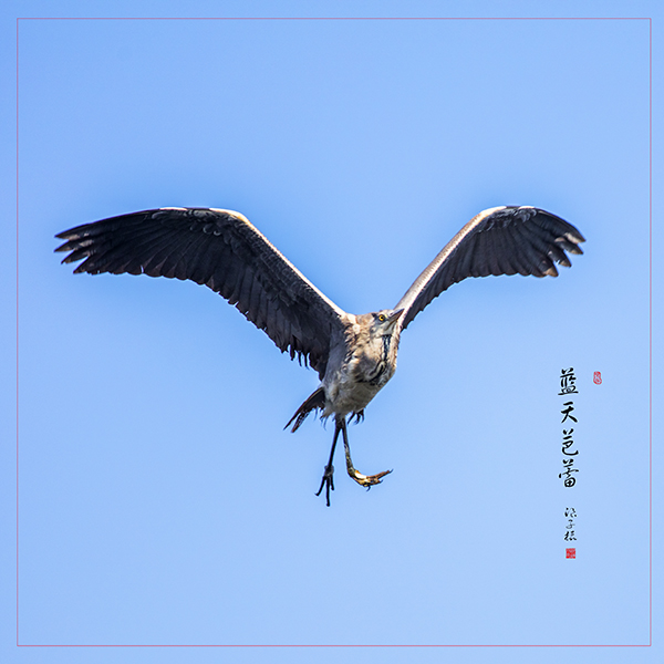LIU_6403副本副本.jpg