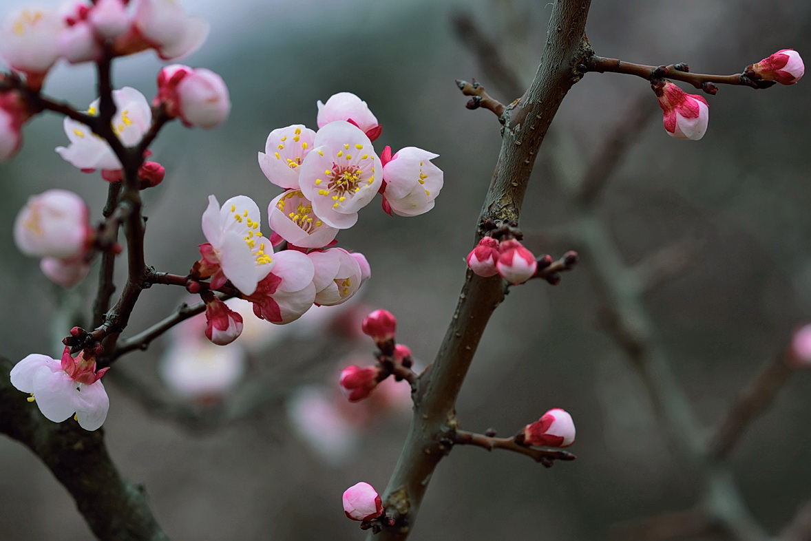 DCS_6863 - 副本_副本.jpg