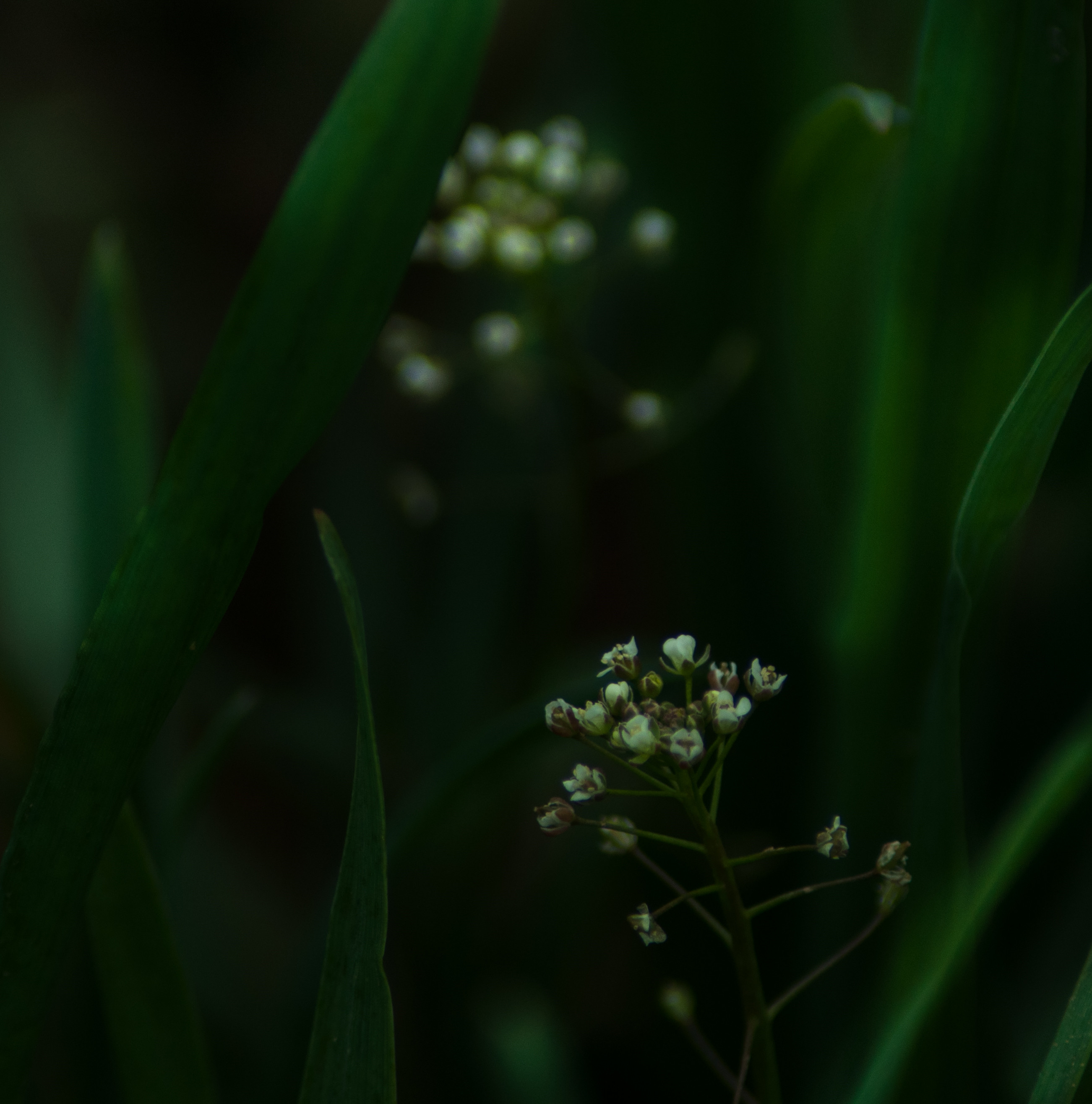 DSC_0462_副本.jpg