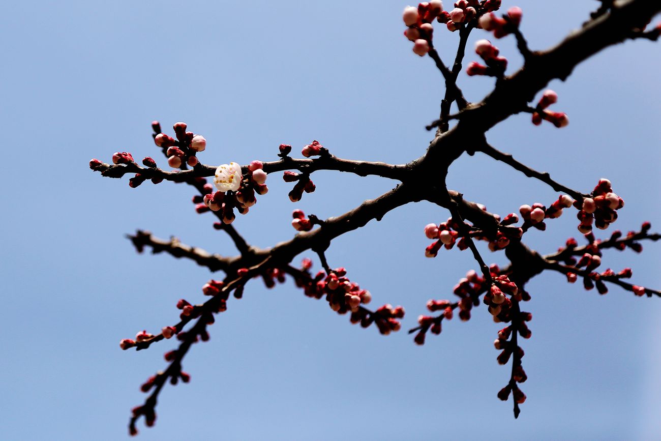 IMG_1274_副本.jpg
